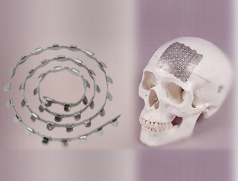 O M F & Plastic Surgery (Small Bone)